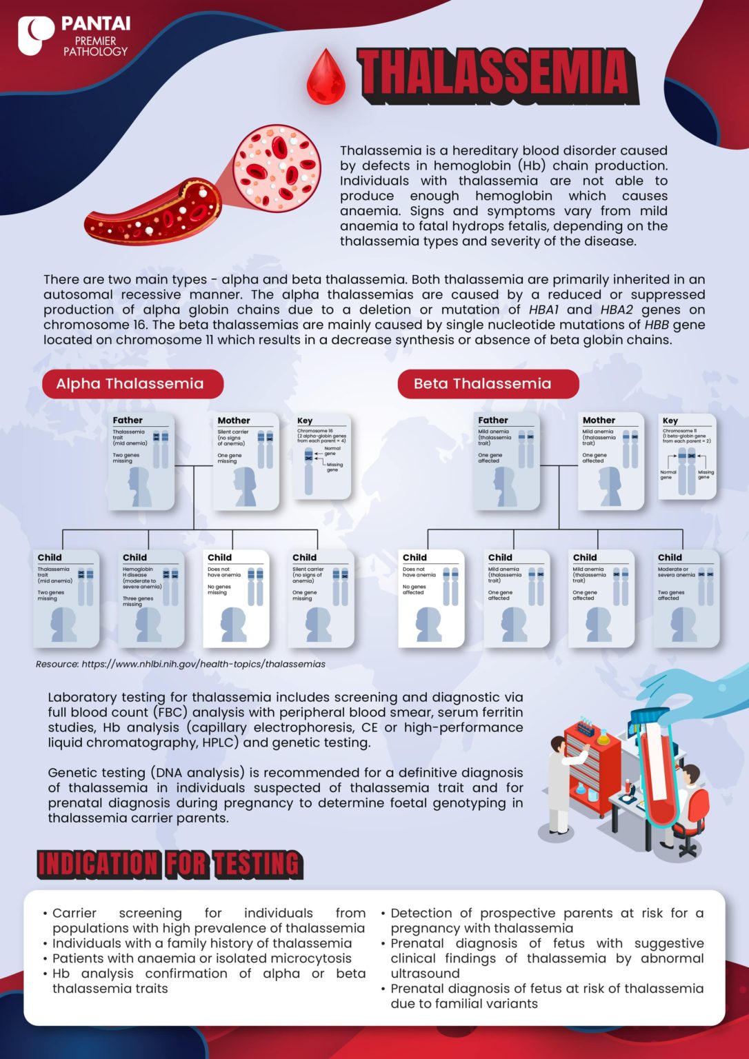 Thalassemia Testing Services For Your Patients Early Detection For Better Management And 